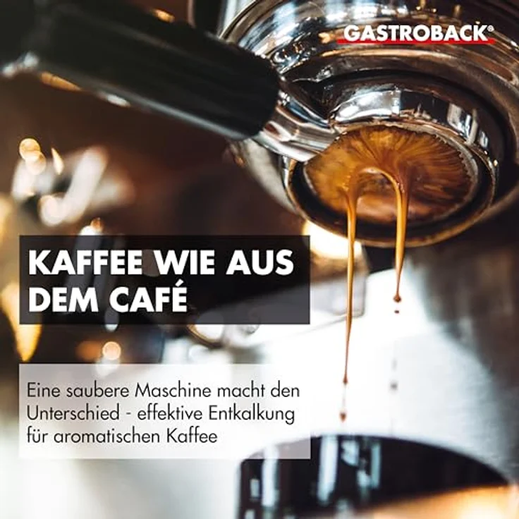 Gastroback 98175 Premium Entkalker – Bild 2