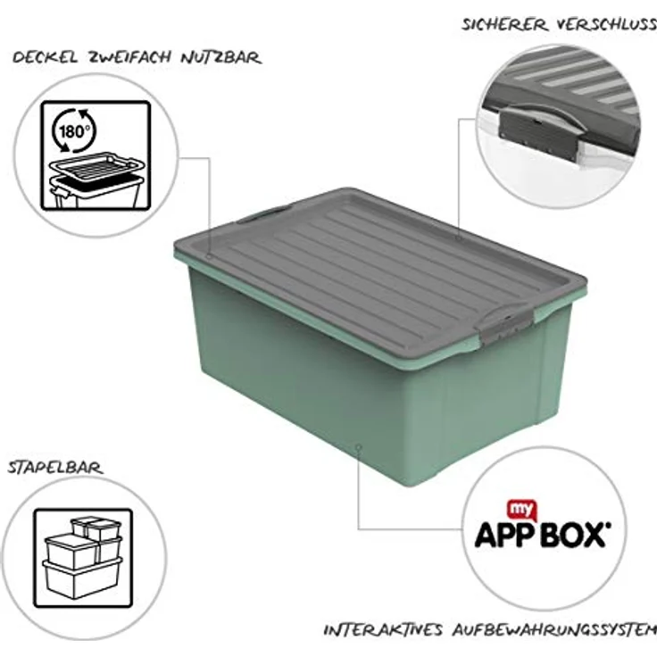 Rotho Compact Aufbewahrungsbox 38l mit Deckel, Kunststoff (PP recycelt) BPA-frei, grün/anthrazit, A3/38 Liter (57,0 x 40,0 x 25,0 cm) – Bild 3