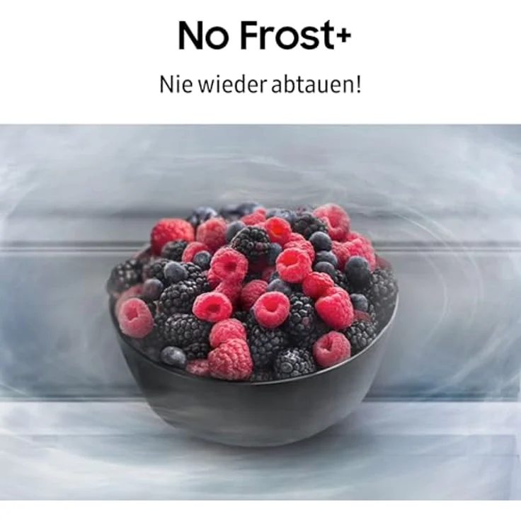 Samsung RS70F66KBTEF Kühl-Gefrier-Kombination, Side-by-Side mit 409 Litern Nutzinhalt, Edelstahl – Bild 9