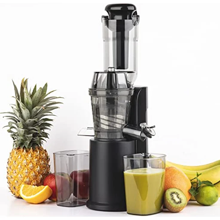 H.Koenig GSX16 Slow Juicer Entsafter, 0,8 L, 250 W Edelstahl – Bild 2