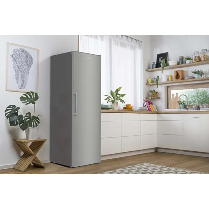Gorenje R 619 EES 5 Kühlschrank, freistehend, grau metallic, Breite 60 cm, Energieklasse E 185 X 60 cm grau metallic – Bild 8