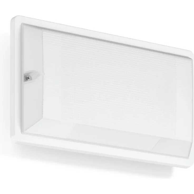 RZB LED-Notleuchte 672182.002, zuverlässige Rettungswegbeleuchtung mit IP65 Schutz, Wandanbau und Deckenanbau