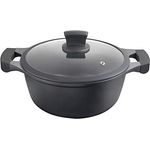 Metaltex Xpert Kochtopf aus hochwertigem Aluminiumguss, 26 cm, Antihaftbeschichtung ILAG 3 Schichten, volle Induktion, geeignet für alle Herdarten