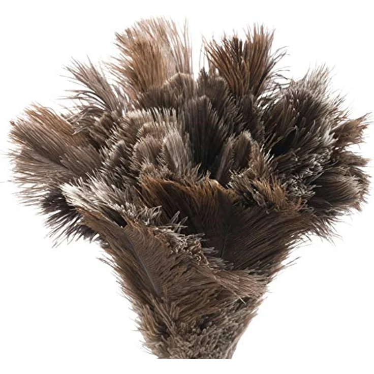 Redecker Staubwedel mit Straußenfedern, Buchenholzgriff, 35 cm – Bild 2