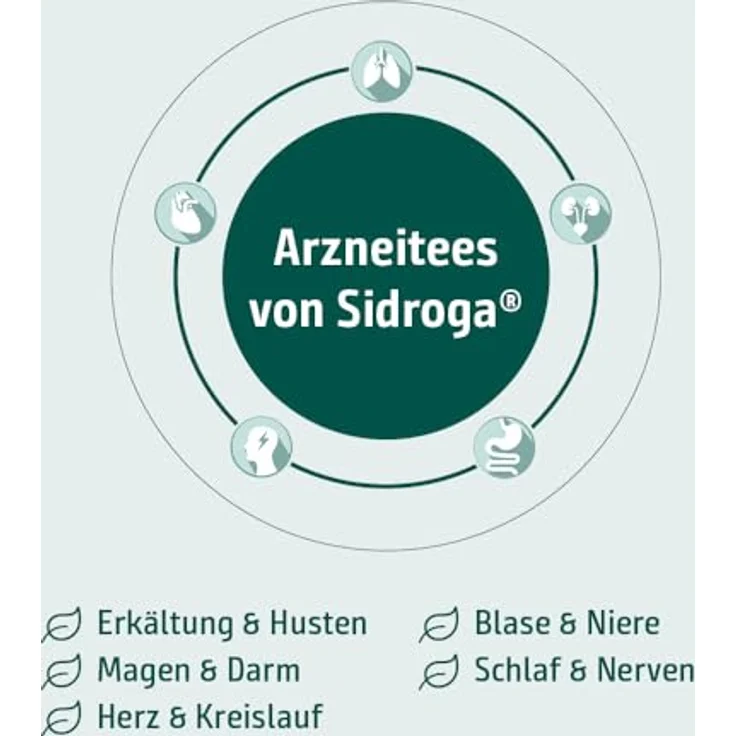 Sidroga Blasen-Nieren-Spültee Filterbeutel, 20x2 g, zur verbesserten Durchspülung der Harnwege – Bild 4