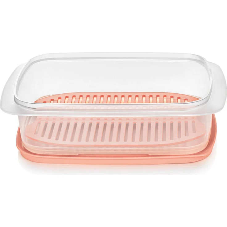 Tupperware Cool'N Fresh Set Wurstbehälter Kühlschrank Box, 1,5 Liter, mit Frischegitter, transparent