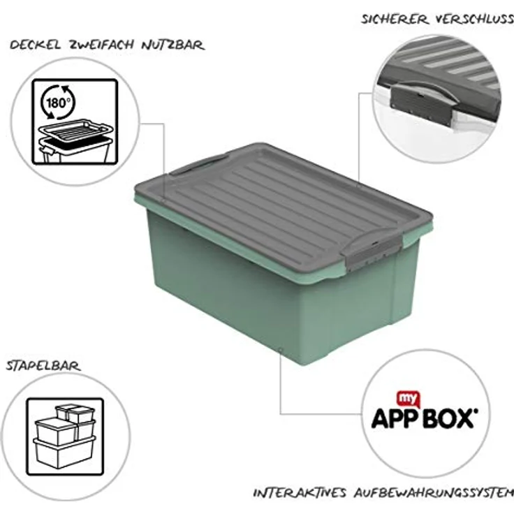 Rotho Compact Aufbewahrungsbox 13l mit Deckel, Kunststoff (PP recycelt) BPA-frei, grün/anthrazit, A4/13l (39.5 x 27.5 x 18.0 cm) - Stapelbare Lagerkiste für A4 Dokumente, bequeme Trage-Griffe – Bild 3