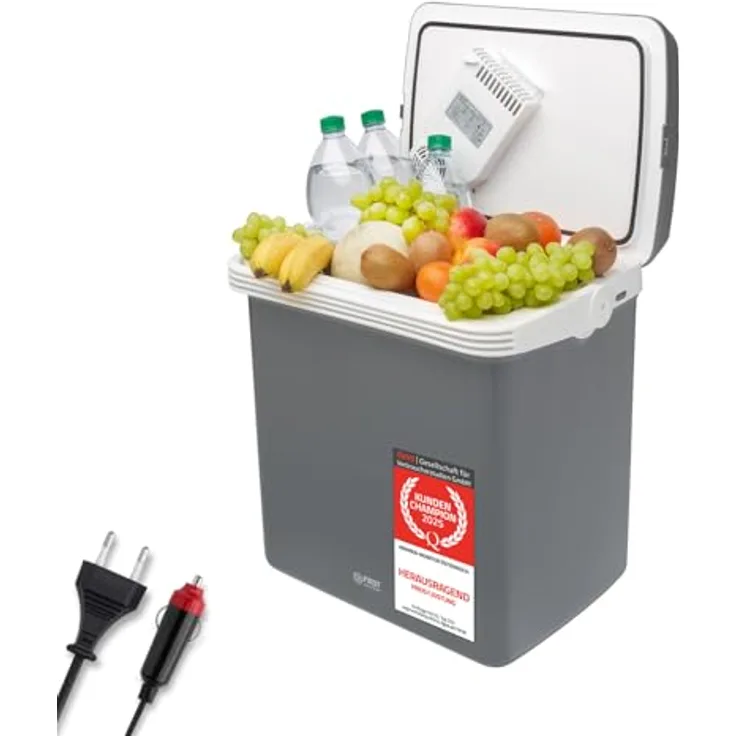TZS First Austria Kühlbox 32L, elektrisch mit 12V & 230V, thermoelektrische Cool Box zum Kühlen & Warmhalten, transportabel mit Griff, Grau