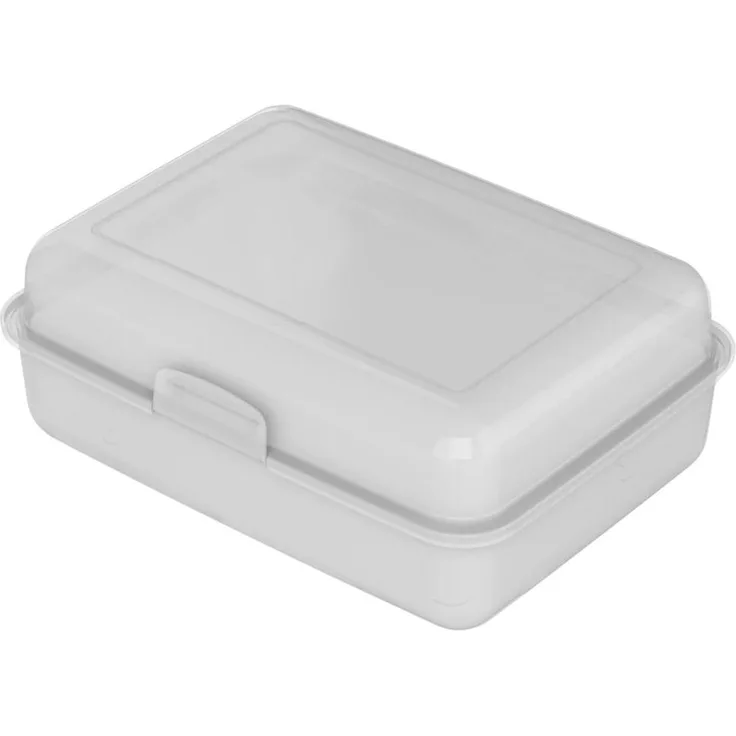 elasto Brotdose "School-Box", BPA-freie Lunchbox für Kinder & Erwachsene, transparent-milchig, ideal für Schule, Arbeit & Abenteuer