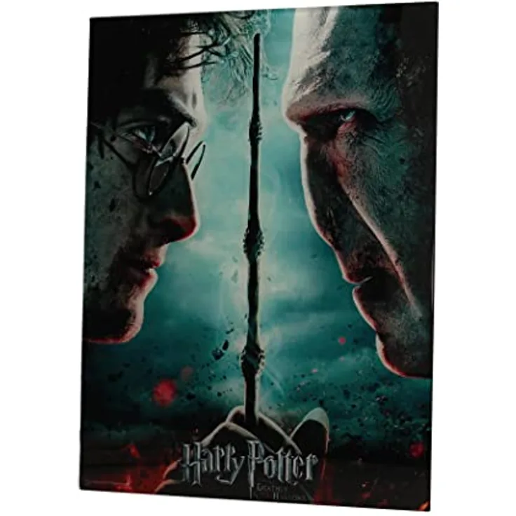 SD toys Poster Harry Potter und Voldemort, mehrfarbig, 41 x 31 x 3 cm