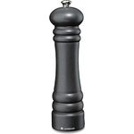 Zassenhaus Salzmühle BERLIN | 24cm | Buche Gusseisen Optik | original Zassenhaus Keramikmahlwerk made in Germany | für getrocknete Gewürze geeignet | Gewürzmühle | Geschenkidee | Küchenhelfer - Preisvergleich