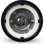 Peugeot 23690 Paris Salzmühle Holz, 5,5 x 5,5 x 12 cm, schwarz lackiert