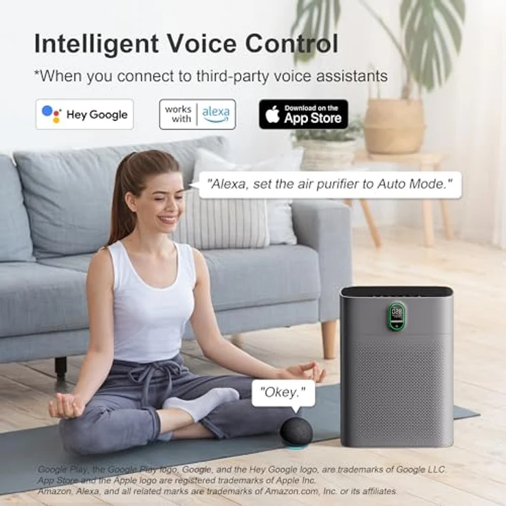 MORENTO Luftreiniger HY4866-WF, CADR 300 m³/h, für bis zu 100 m², WLAN und Alexa kompatibel, PM2.5 Luftqualitätsanzeige, leiser Modus 24 dB, Grau – Bild 2