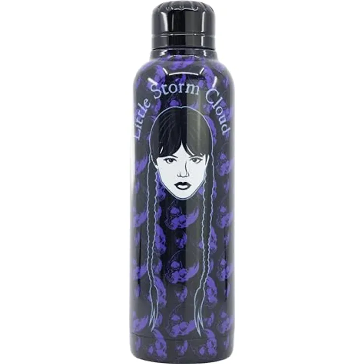 Wednesday Isolierte Edelstahl Trinkflasche, 515 ml, doppelwandig, robuster Schraubverschluss, pflegeleicht