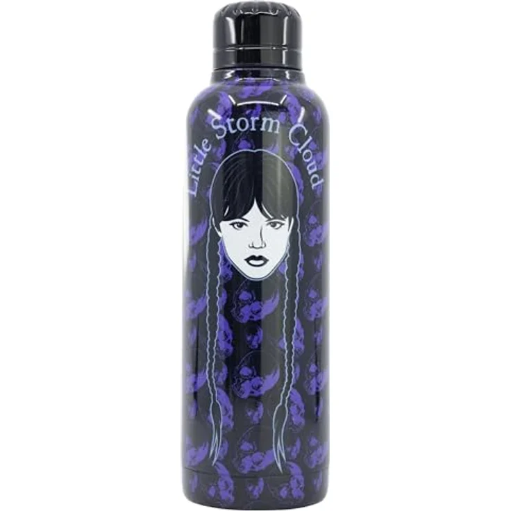 Wednesday Isolierte Edelstahl Trinkflasche, 515 ml, doppelwandig, robuster Schraubverschluss, pflegeleicht – Bild 1