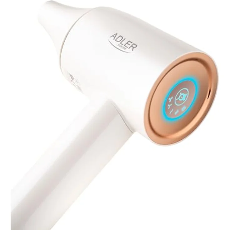 Adler, Föhn, AD 2272 – Bild 2