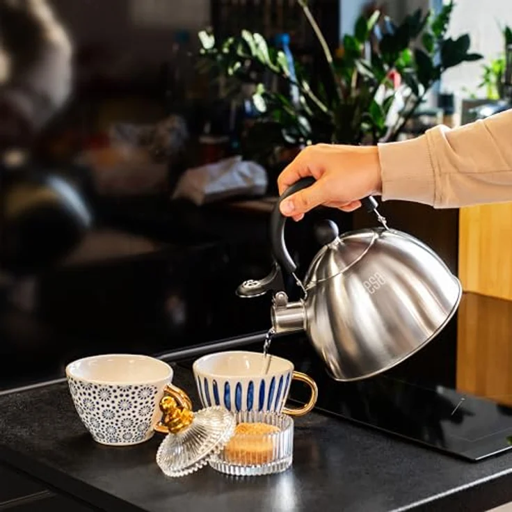 Teesa Edelstahl Wasserkocher mit Pfeife TSA0153, 1,8L, für Induktion und Gas, kühlgriff, gebürstete Oberfläche – Bild 7