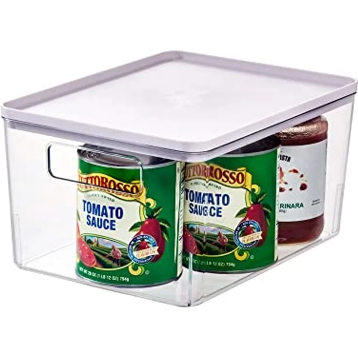 iDesign Aufbewahrungsbox, Vorratsbehälter by Rosanna Pansino, Plastikbox aus recyceltem Kunststoff mit Griffen und Deckel, durchsichtig und violett, 9” x 12” x 6”