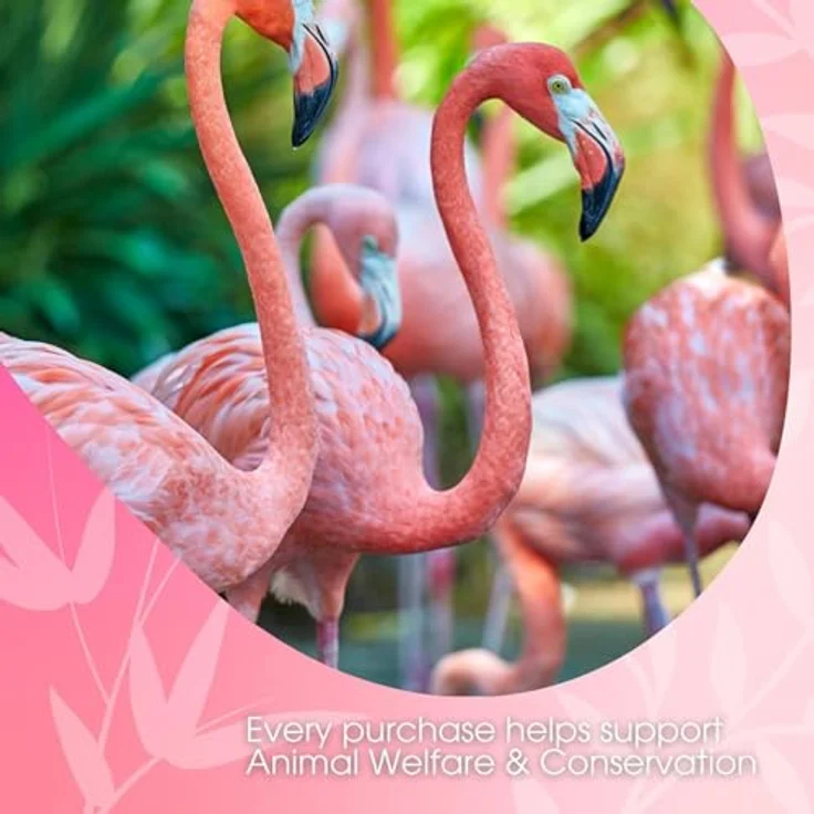David Rio Flamingo Vanilla Chai Pulver, 337 g Getränkepulver für aromatischen Tee – Bild 6
