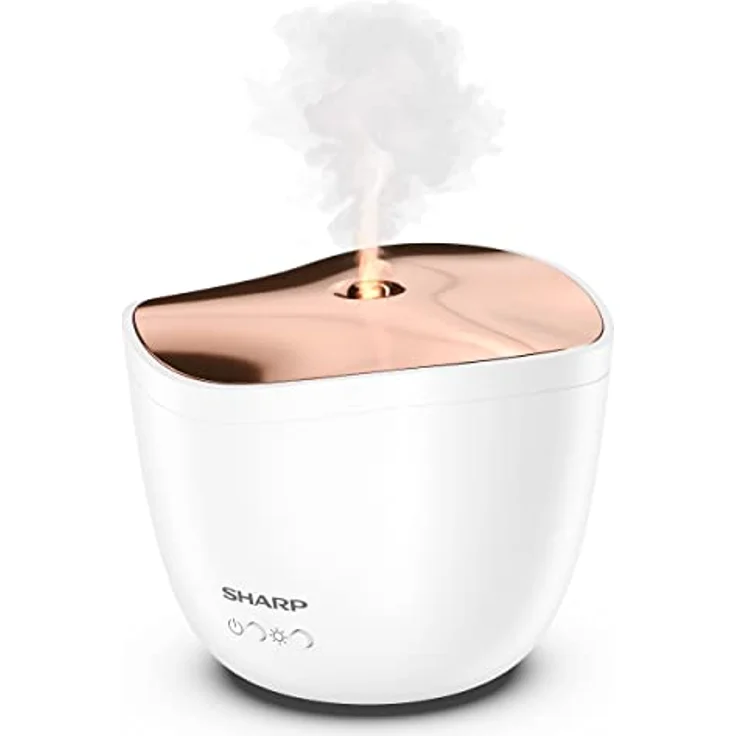 Sharp DF-A1E-W – Bild 4