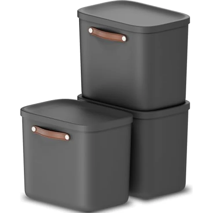 Rotho Maloja 3er-Set Aufbewahrungsbox mit Deckel 25l, Kunststoff, anthrazit - Praktische Ordnungsboxen im Set mit 25 Liter Fassungsvolumen – Bild 1