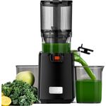 Linkchef LINKChef Entsafter, 1,8 l Schwarz, 250 W, Langsame Kaltpress-Technologie, 3-fach Edelstahlsieb, Ein-Knopf-Bedienung