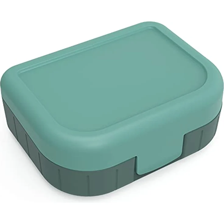 Rotho Memory Kids Vesperdose, lebensmittelechter Kunststoff (PP) BPA-frei, grün, 1l, (16,6 x 13,3 x 6,1 cm) – Bild 1