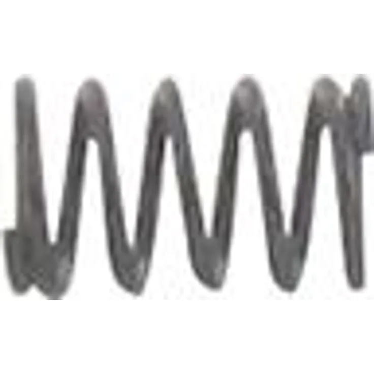 AUTRES Zugfeder für Antriebsscheibe für Rasenmäher Marina, Modelle Bl4047sp/2006 & Bl4047sp/2008, schwarz