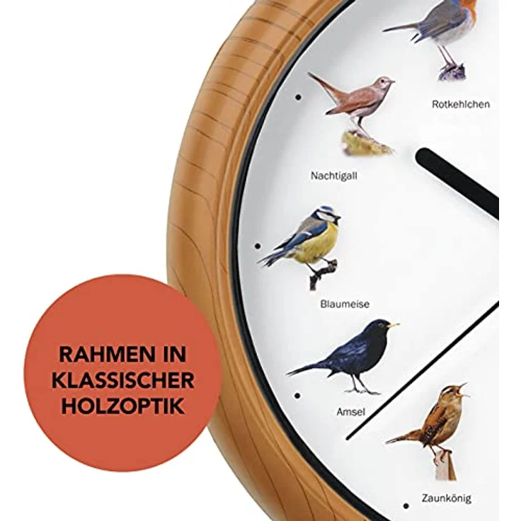 MAXXMEE Wanduhr mit Vogelstimmen, 12 Singvogelstimmen und fluoreszierenden Vogelmotiven, automatische Abschaltung zwischen 21 und 5 Uhr, 25 cm – Bild 4