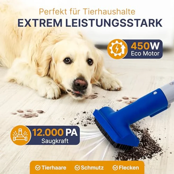 Sommertal Teppichreinigungsgerät SOMMERTAL CompactCleaner WS450 5in1, Aqua Filter, Pet Cleaner, inkl. Zubehör, blau - Preisvergleich – Bild 4
