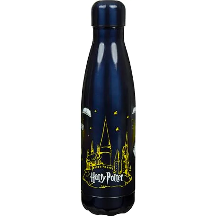 Undercover Harry Potter Isolierflasche, doppelwandig aus Edelstahl, auslaufsicher, für Jugendliche, 500ml, ideal für unterwegs
