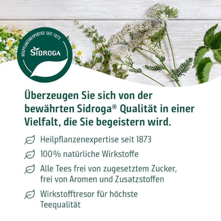 Sidroga Frauenmantelkraut Tee Filterbeutel, 20x1 g für leichte Durchfallerkrankungen – Bild 3