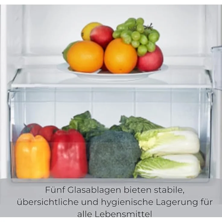 PKM KS242.0EIX, Freistehender Kühlschrank mit 242 l Nutzinhalt, Energieeffizienzklasse E, silber – Bild 8