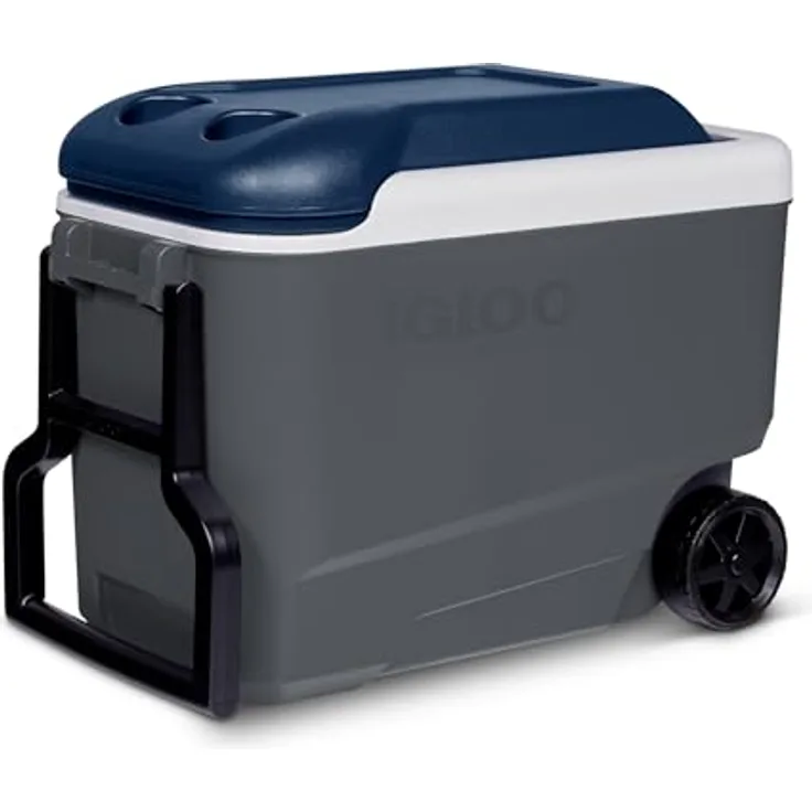 Igloo Maxcold 40 Roller, Kühlbox mit 36 l, bis zu 5 Tage Kältespeicherung, mit Rollen und Becherhaltern