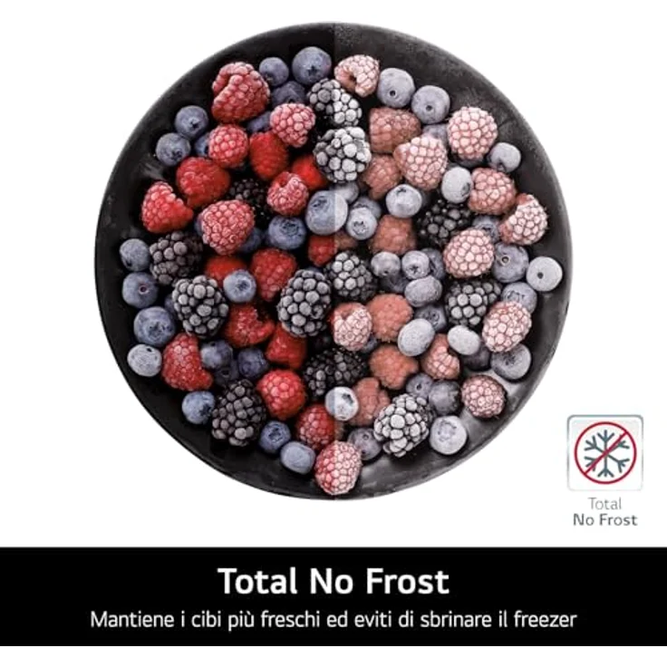 LG GBV22NCBPY Gefrierkombination, Total No Frost, Smart Inverter Compressor, DoorCooling+, 387 Liter, silber – Bild 4