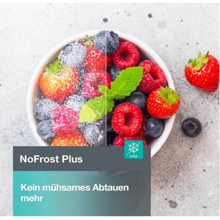 Gorenje N 619 EAW4 Kühl-Gefrierkombination, freistehend, weiß, NoFrost, LED, Schnellgefrieren, Breite 59.5 cm, Energieklasse E – Bild 9