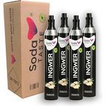 SodaTASTE CO2-Zylinder tauschen 4er-Pack (Refill) für Wassersprudler, mit natürlichem Ingwer-Aroma, für bis zu 240l Sprudelwasser mit Geschmack, zuckerfrei