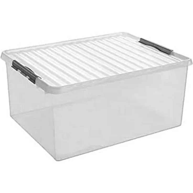 Sunware Box, Plastik, Transparent Metallic, Einheitsgröße