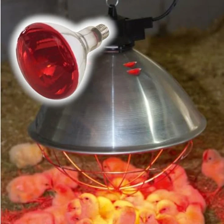 Kerbl Infrarotlampe für Tiere, spritzwassergeschützt, 150 W, rot, 5000 Betriebsstunden – Bild 2