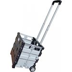 Kistenwagen, zusammenklappbar, mit Teleskopgriff, max. Traglast 25 kg