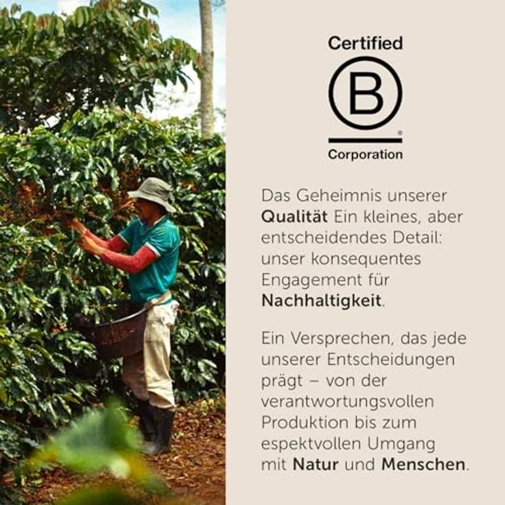 illy® Classico Kaffeebohnen, 500 g 100% Arabicabohnen für Vollautomaten, ausgewogenes Aroma – Bild 5