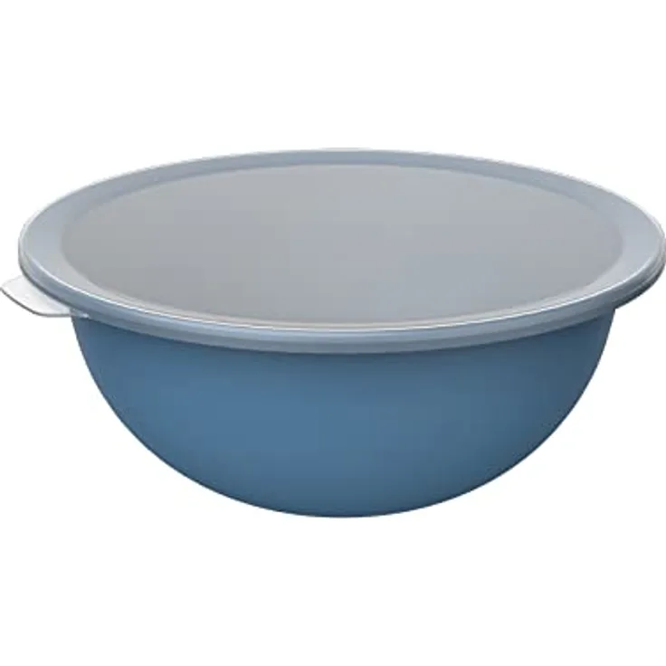 Rotho 1026206161 Caruba Schüssel Deckel, Kunststoff (PP) BPA-frei, blau/transparent, 4.8l