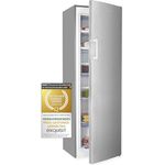 Exquisit Gefrierschrank GS271-NF-H-040D Inoxlook | No Frost | Nutzinhalt: 204 L | Temperaturregelung | Alarm