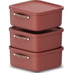 Rotho Maloja 3er-Set Aufbewahrungsbox mit Deckel 20l, Kunststoff, rot - Praktische Ordnungsboxen im Set, stapelbar, mit Trageriemen