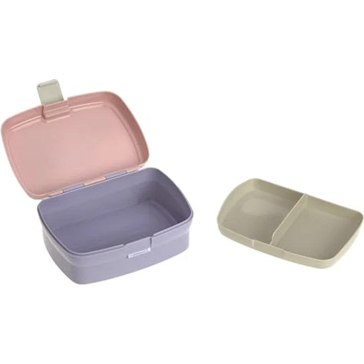 LÄSSIG Lunchbox Rainbow, Brotdose aus Polypropylen (PP), 17,7 x 13,4 x 7,3 cm, mit herausnehmbarer Schale für Snacks – Bild 3