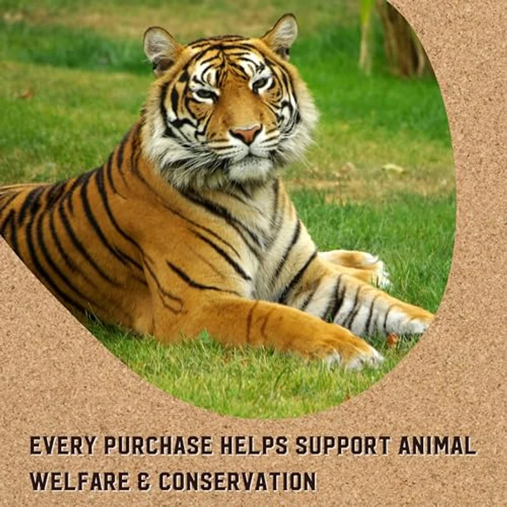 David Rio Power Chai Matcha Pulver, vegan, 398 g, Tee zur Getränkeherstellung – Bild 6