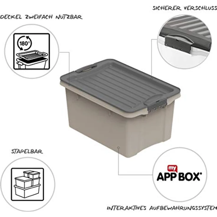 Rotho Compact Aufbewahrungsbox mit Deckel, Kunststoff (PP recycelt) BPA-frei, cappuccino, A5/4,5l (27,0 x 18,5 x 15,0 cm), 4,5l – Bild 3
