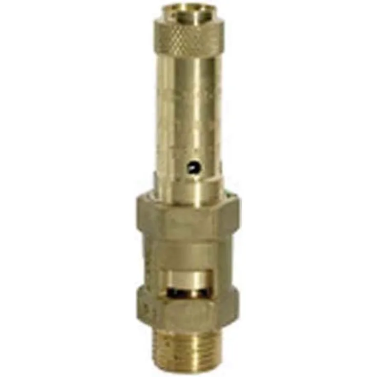 RIEGLER 229.04-20.0 Messing Sicherheitsventil, G 1-1/4" Anschluss, 20 bar Ansprechdruck