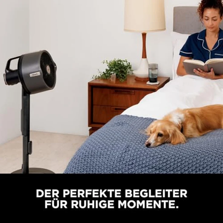 Shark FlexBreeze Pro Mist Akku-Ventilator mit Sprühsystem, tragbarem Sprühtank, 20 m, 5 Geschwindigkeitsstufen, leise, Fernbedienung, Anthrazit – Bild 5