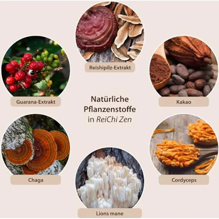 ReiChi Zen Dr.Jacob's Pulver, 150 g, veganer Pilzmix mit Reishi, Chaga, Cordyceps, Lions Mane, Guarana & Kakao ohne Zusatzstoffe & Zucker – Bild 8